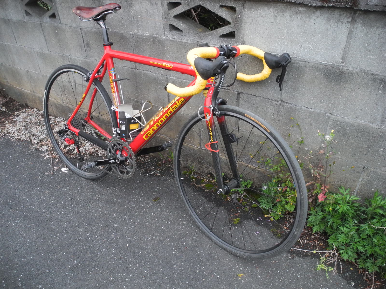 f:id:corydalis:20200503183559j:plain f:id:corydalis:20200503183559j:plain