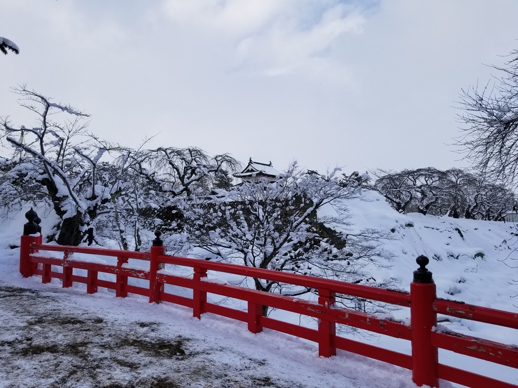 f:id:cosachi:20190210150107j:plain