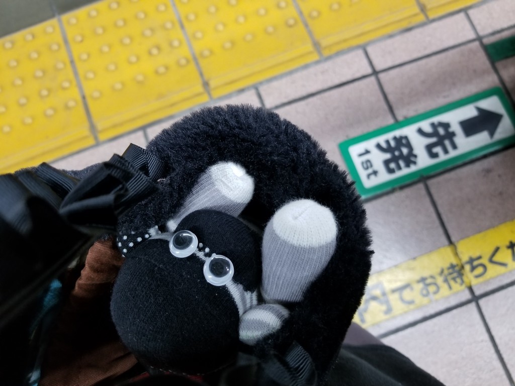 f:id:cosachi:20190222171835j:plain