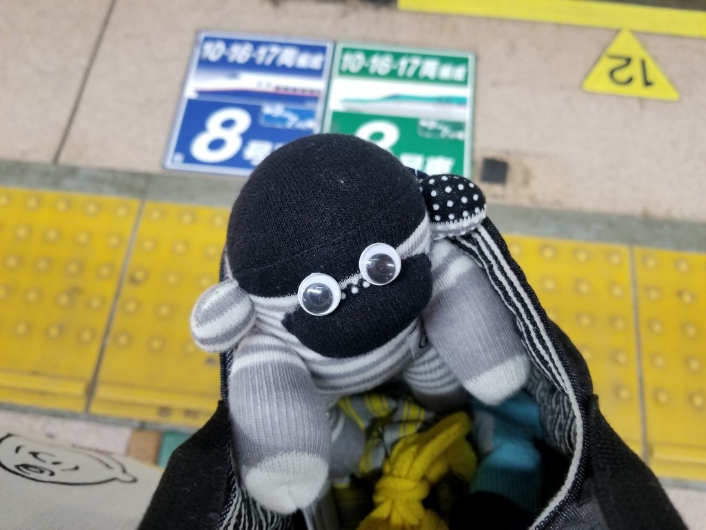 f:id:cosachi:20190308171706j:plain