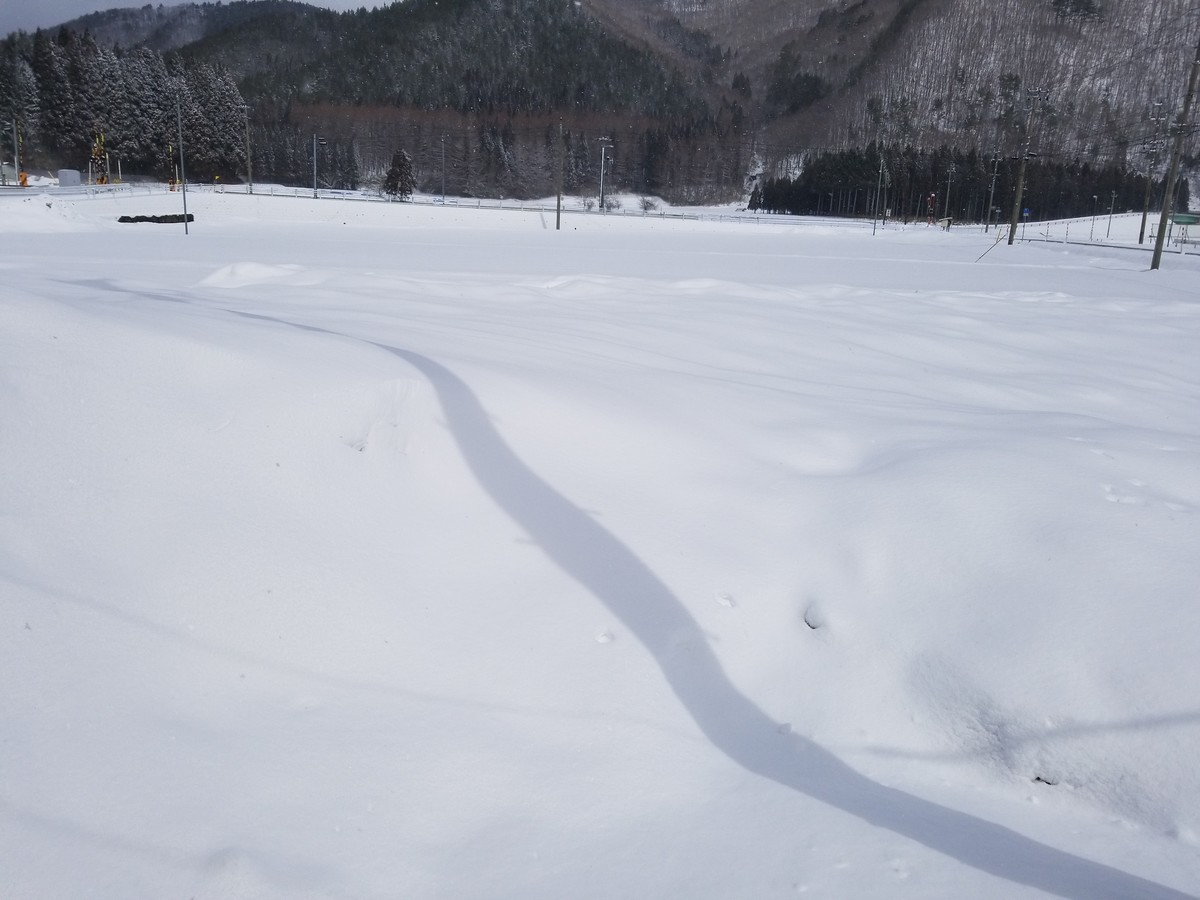 f:id:cosachi:20190324103401j:plain