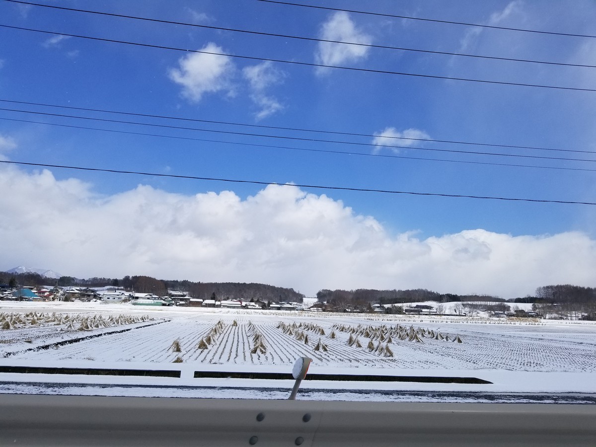 f:id:cosachi:20190324110935j:plain