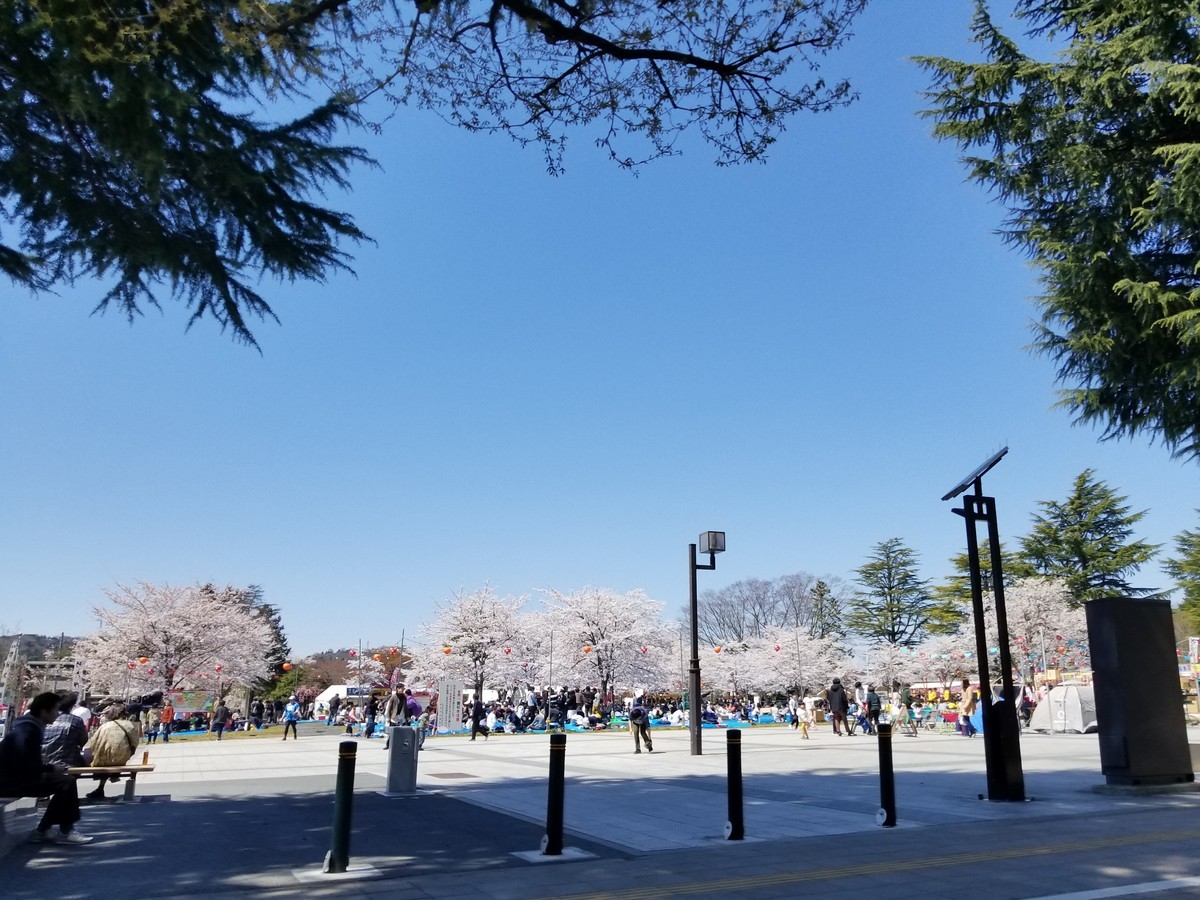 f:id:cosachi:20190413105206j:plain