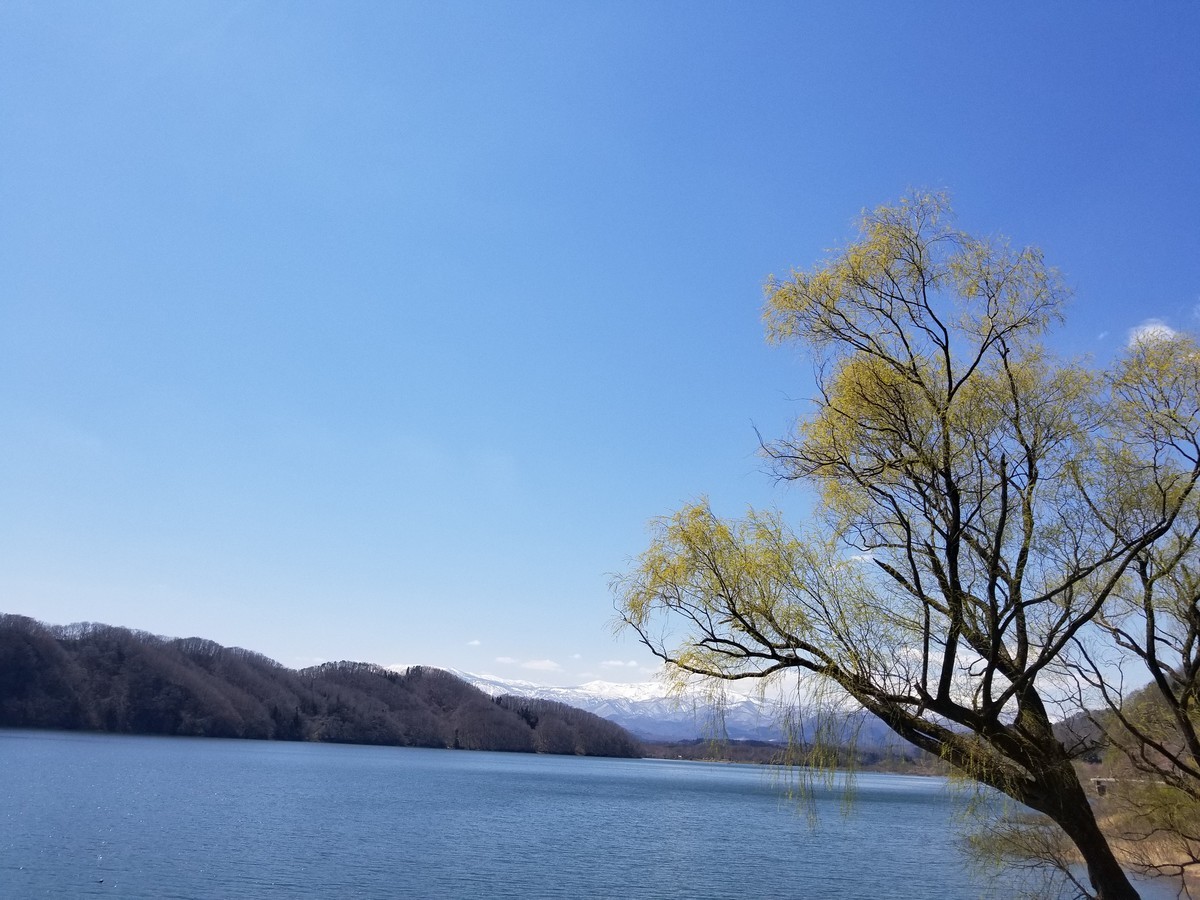 f:id:cosachi:20190413115252j:plain