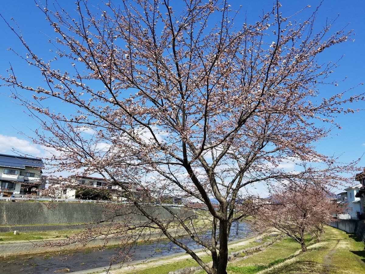f:id:cosachi:20190413131941j:plain