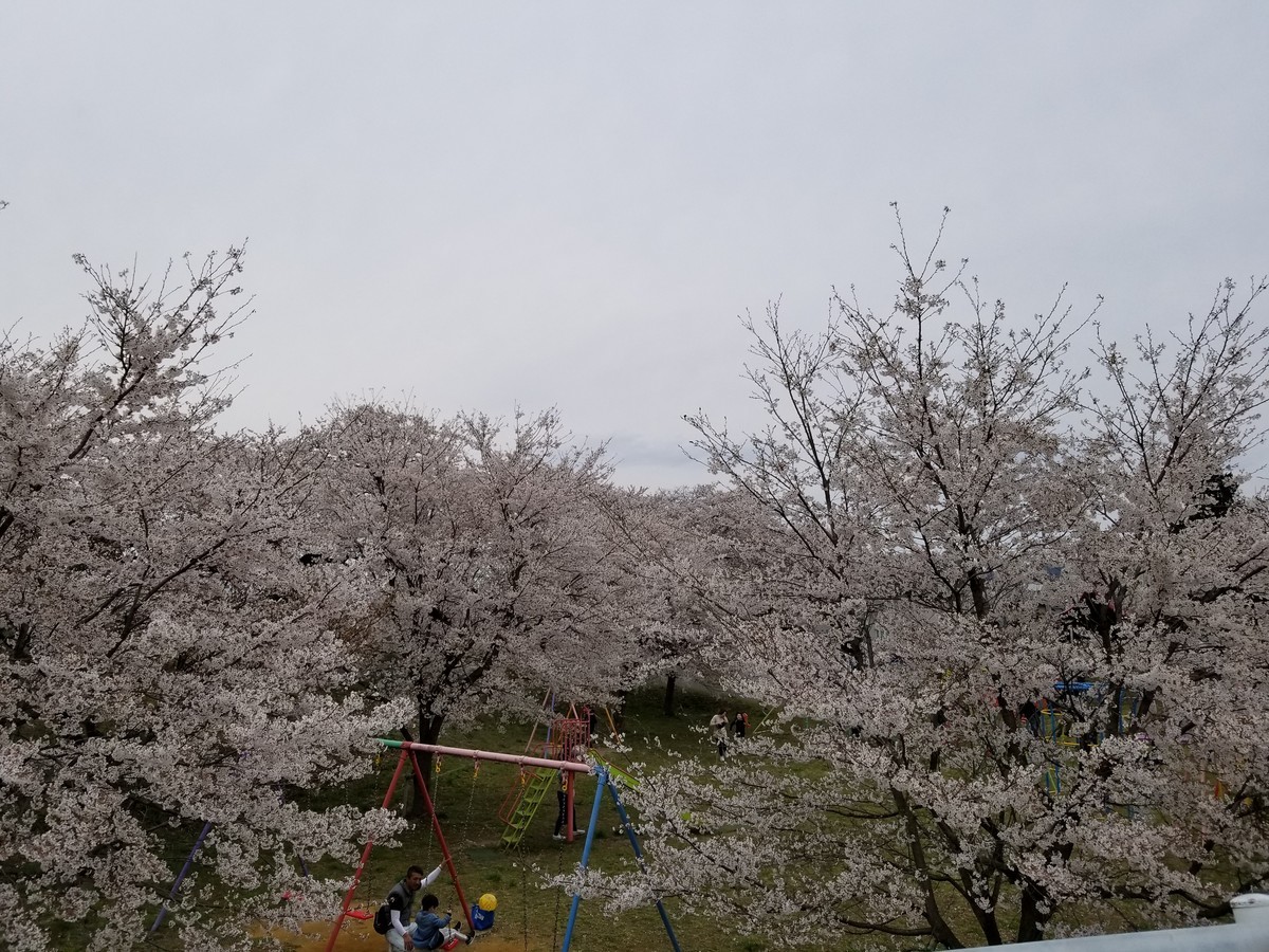 f:id:cosachi:20190414152817j:plain