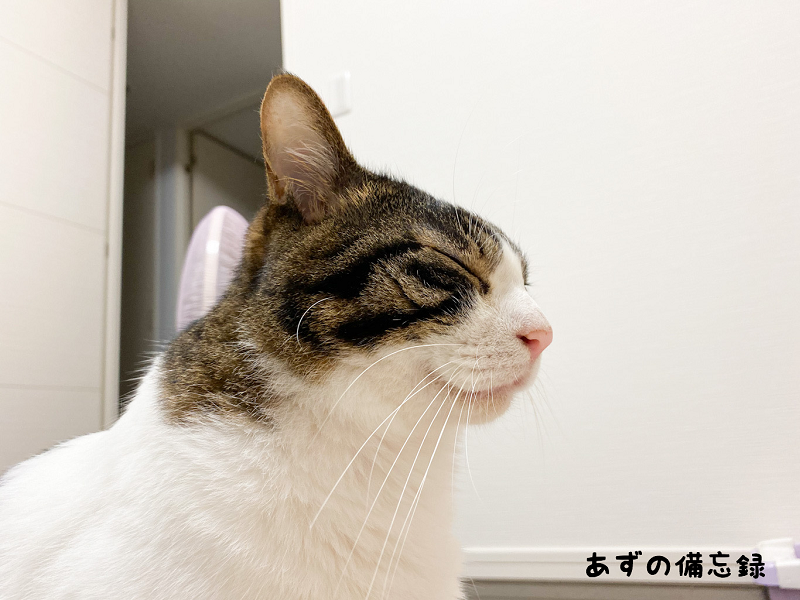 f:id:cosami1215:20200511200009p:plain