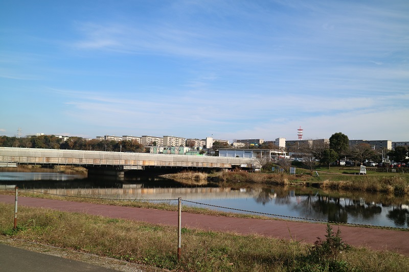 右岸から見える米本団地