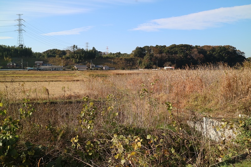 長閑な風景が続く