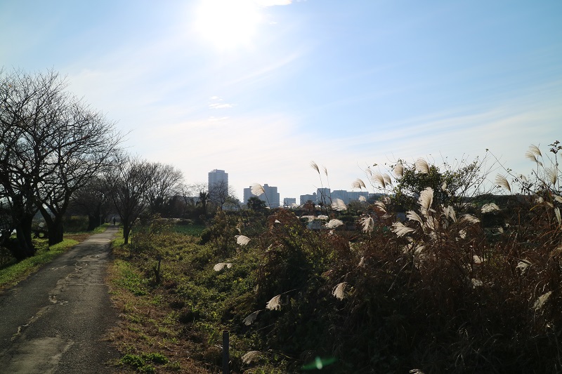 都会と田舎