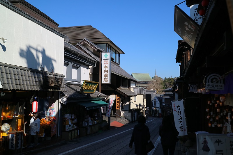 成田山新勝寺に近づいてくると鰻屋さんも多くなる