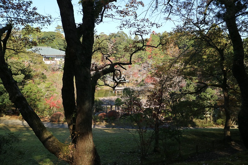 見にくいかもしれないが池が見える