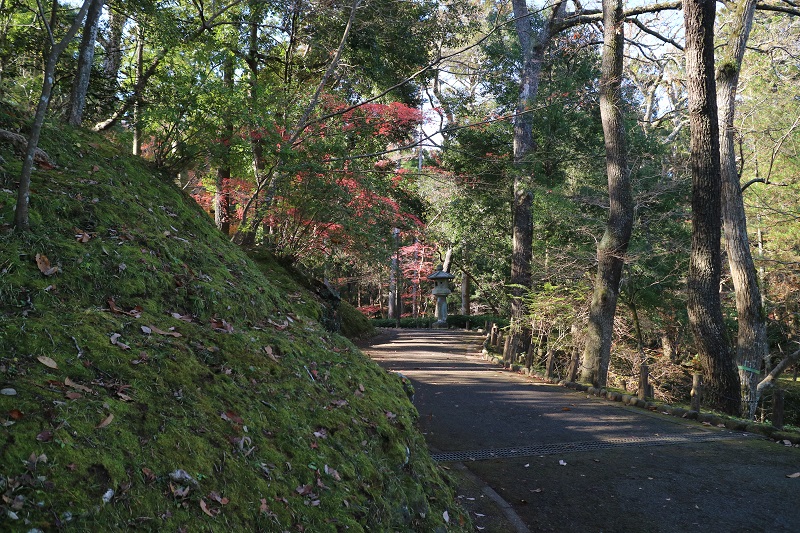 池のあるところまで歩いていく