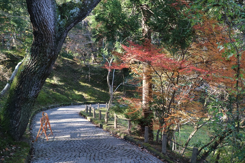 坂を下っていく感じ