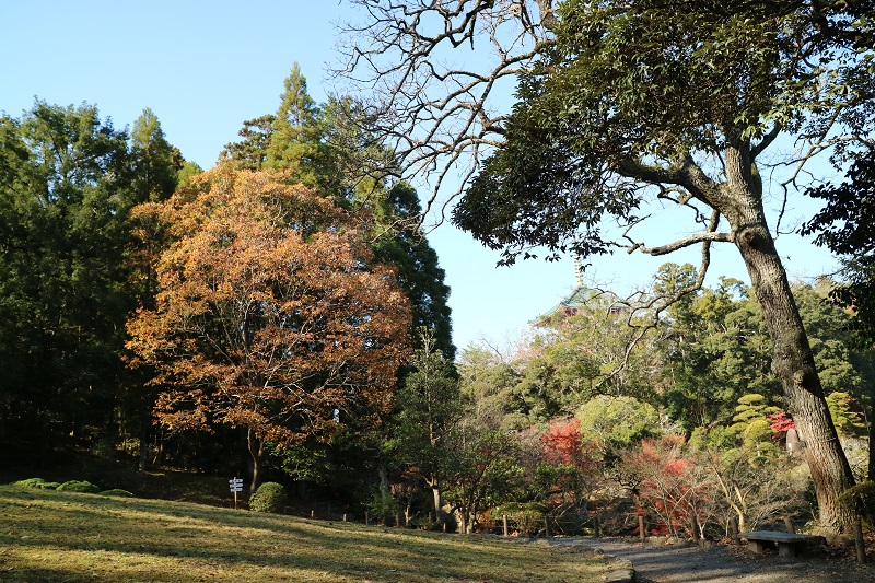 平和大塔の頭が見える