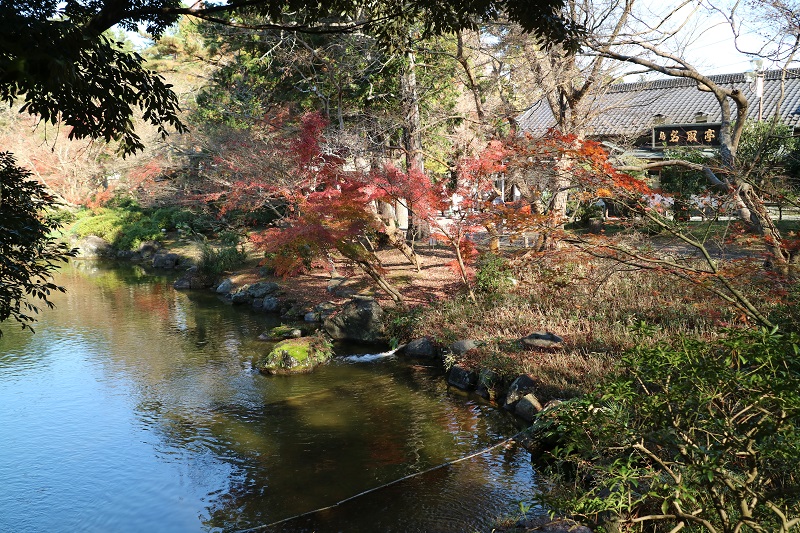 池と紅葉の風景がとても良い