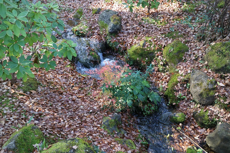 水の音と紅葉がこれまた癒される