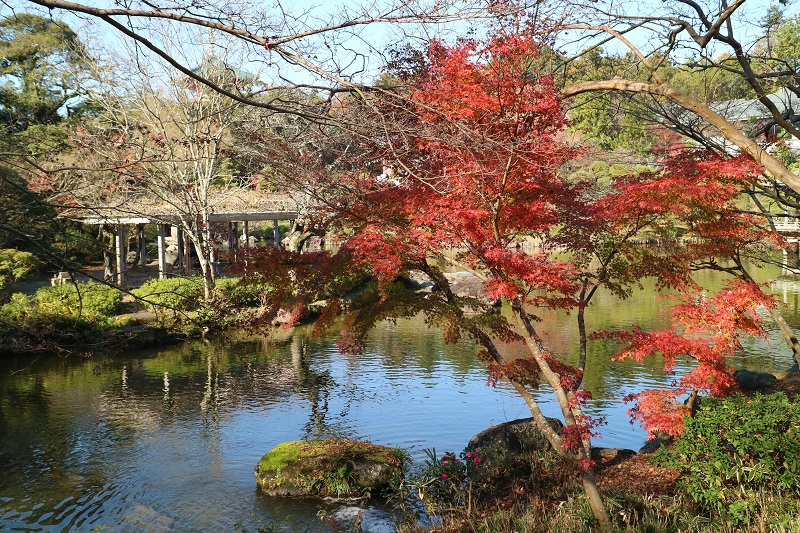 何度見ても飽きない風景