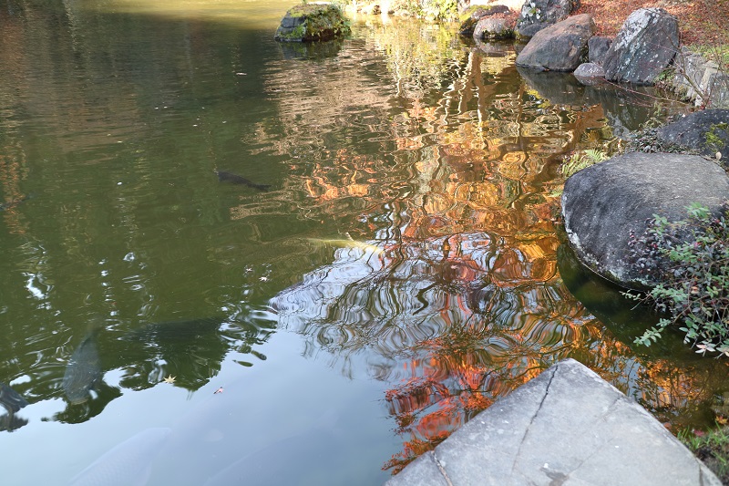 水面に写る紅葉