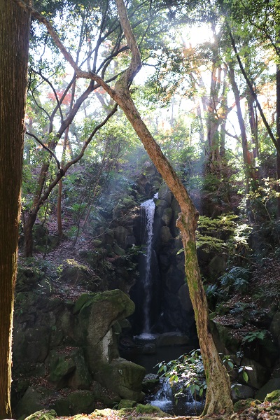 名前はわからないけど滝がありました