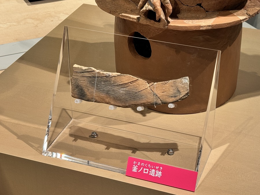 発掘された日本列島2024・山あいの水場遺構「唐堀遺跡」・鶏の埴輪が