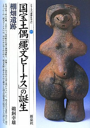 国宝土偶「縄文ビーナス」の誕生・棚畑遺跡 (シリーズ「遺跡を学ぶ」 71)