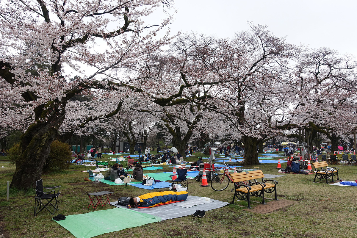 f:id:cosinon:20190401160900j:plain f:id:cosinon:20190401160900j:plain