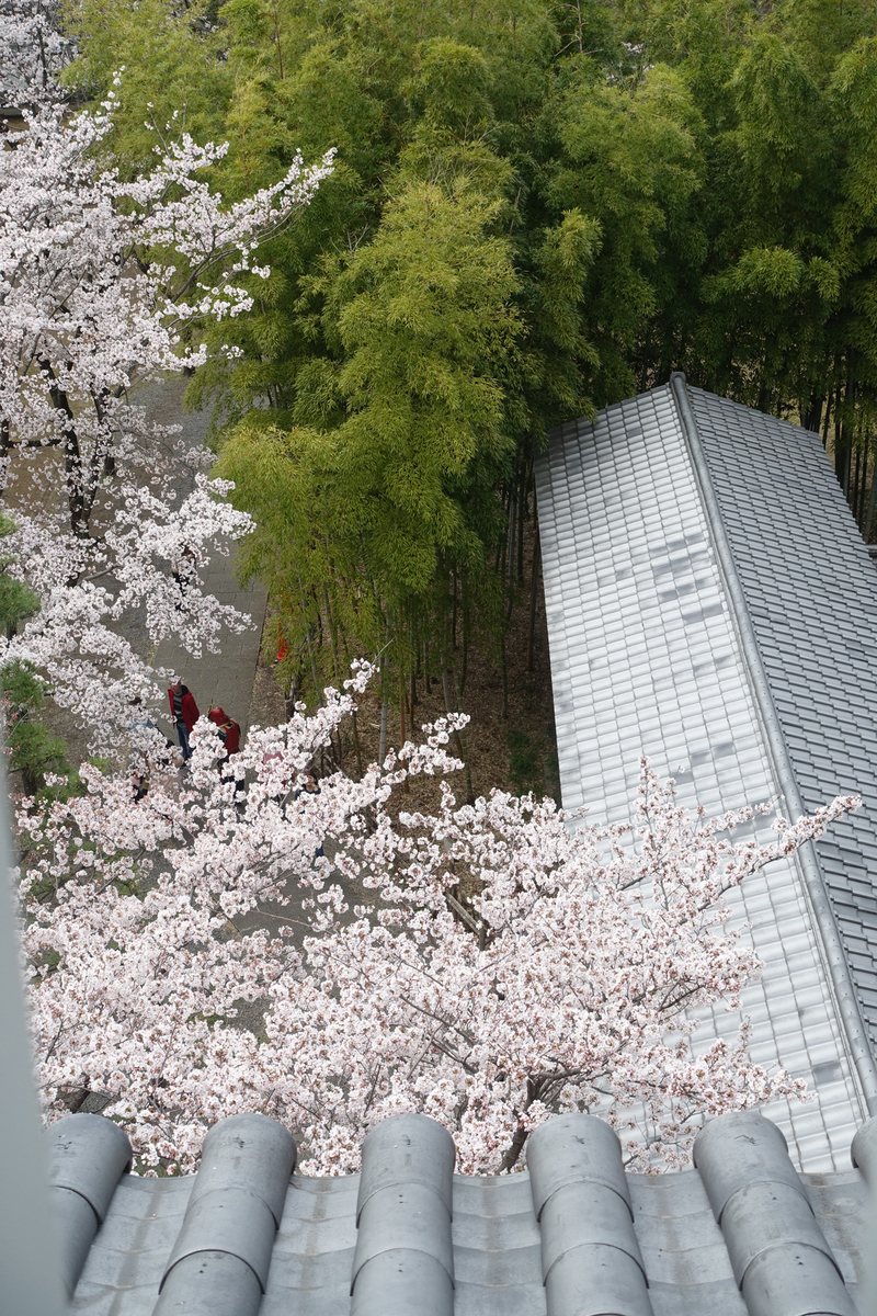 f:id:cosinon:20190408170236j:plain