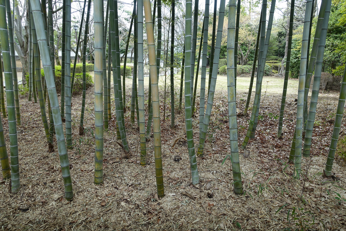 f:id:cosinon:20190408170551j:plain
