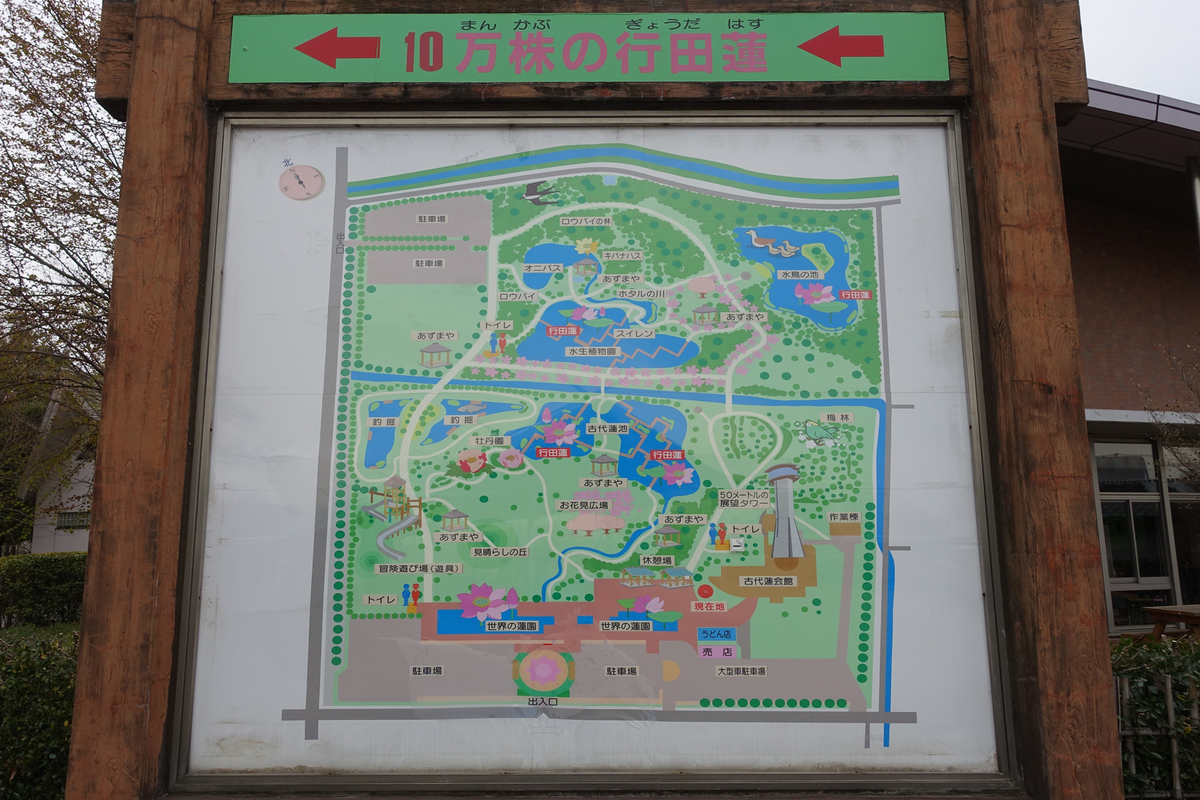 f:id:cosinon:20190408221157j:plain f:id:cosinon:20190408221157j:plain