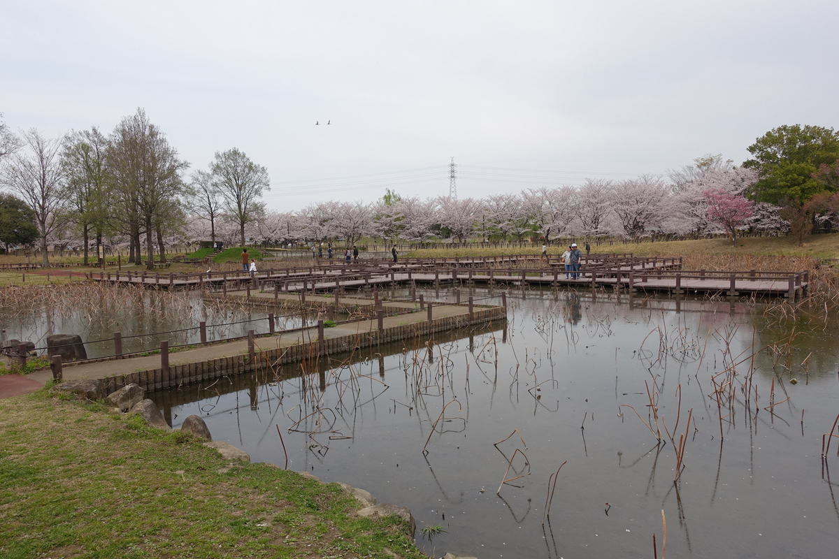 f:id:cosinon:20190408221255j:plain f:id:cosinon:20190408221255j:plain