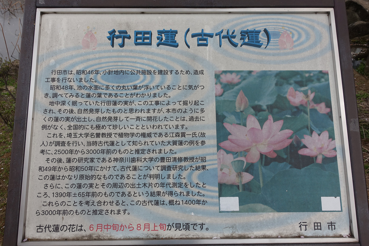 f:id:cosinon:20190408221333j:plain f:id:cosinon:20190408221333j:plain