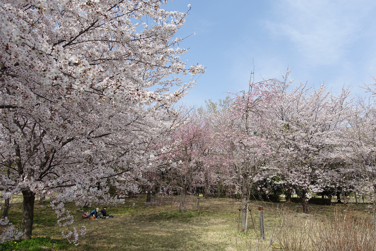 f:id:cosinon:20190408221444j:plain f:id:cosinon:20190408221444j:plain