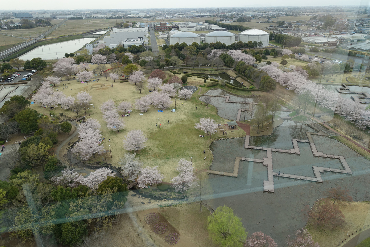 f:id:cosinon:20190408221808j:plain f:id:cosinon:20190408221808j:plain