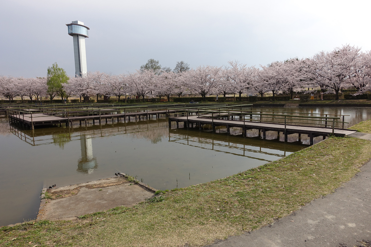 f:id:cosinon:20190408221944j:plain f:id:cosinon:20190408221944j:plain