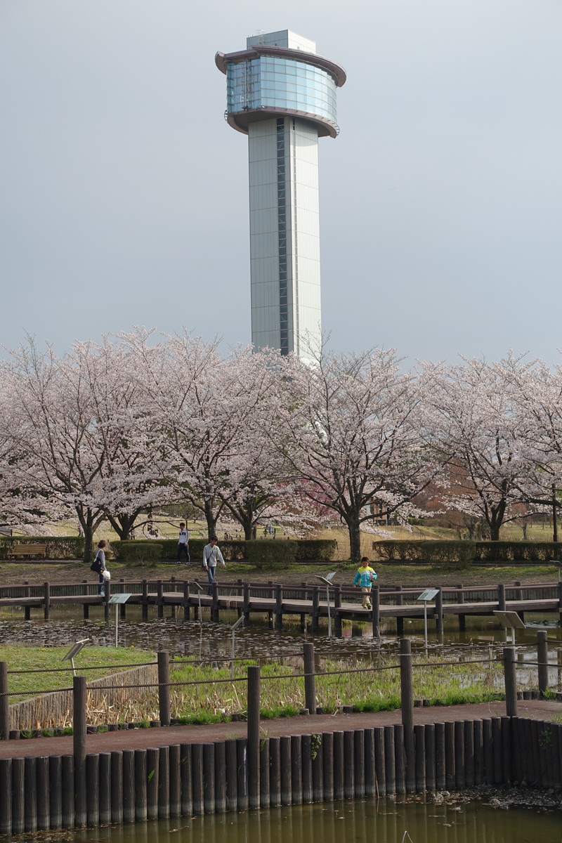 f:id:cosinon:20190408222054j:plain f:id:cosinon:20190408222054j:plain