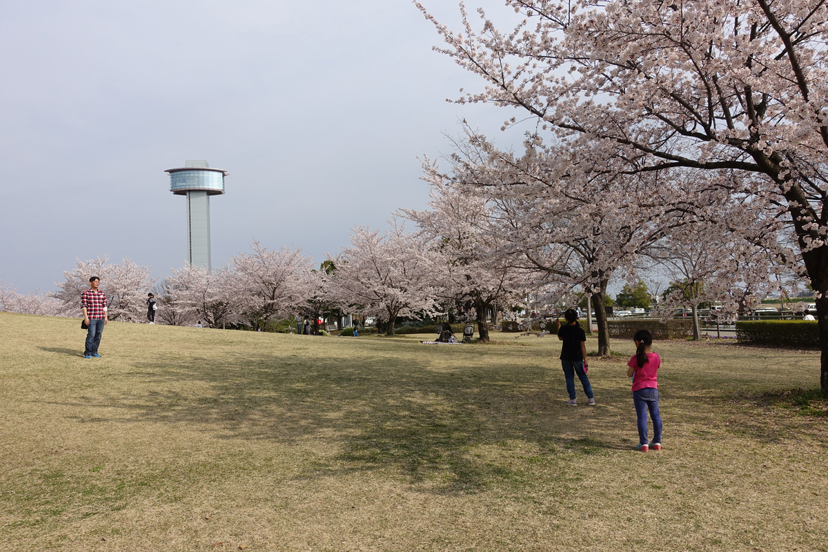 f:id:cosinon:20190408222246j:plain f:id:cosinon:20190408222246j:plain