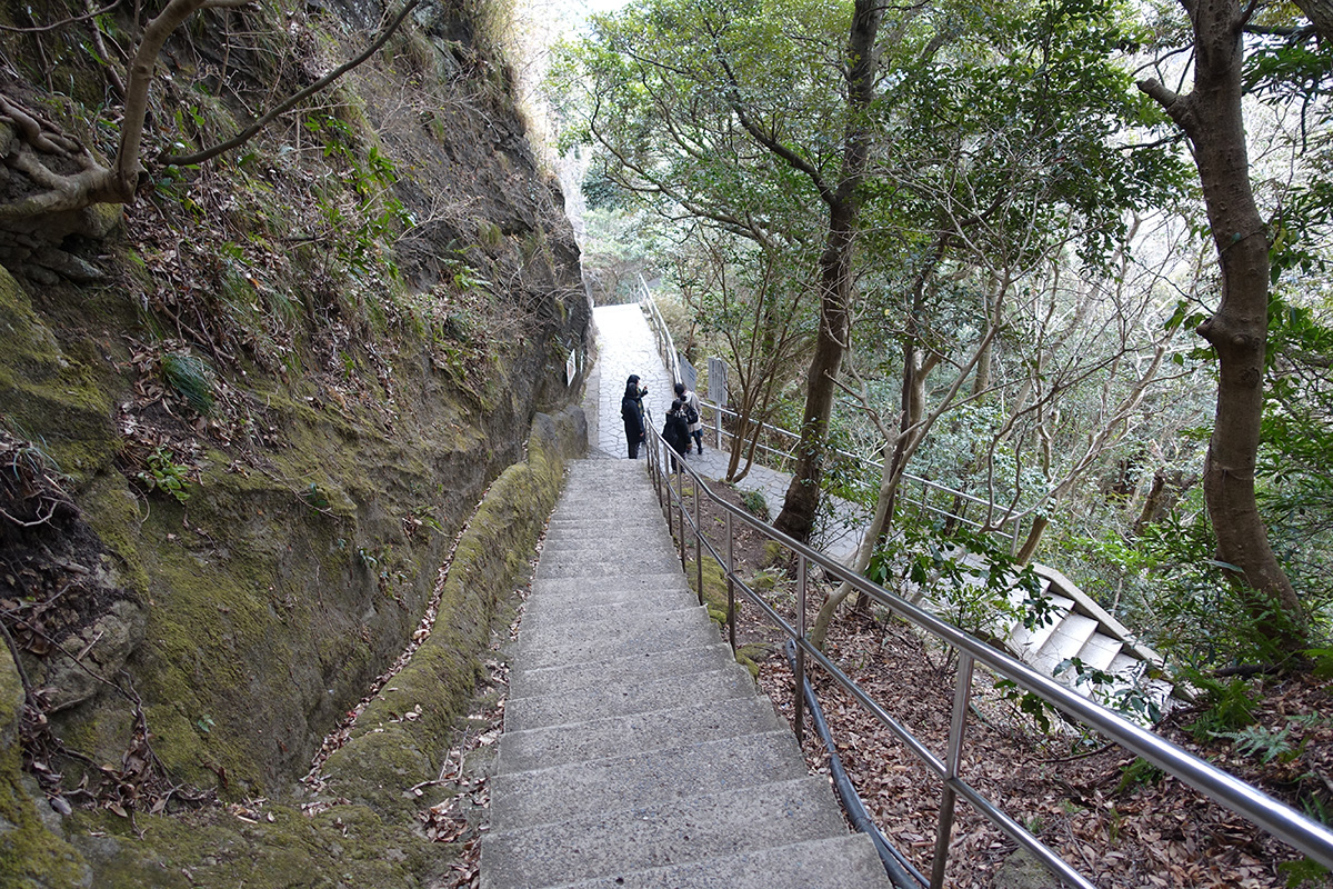 f:id:cosinon:20190522114435j:plain f:id:cosinon:20190522114435j:plain