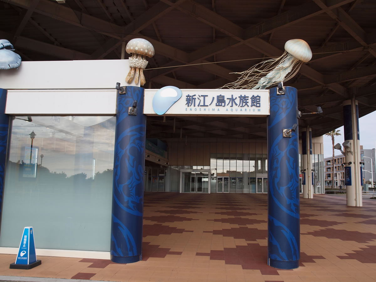 f:id:cosinon:20190530145651j:plain
