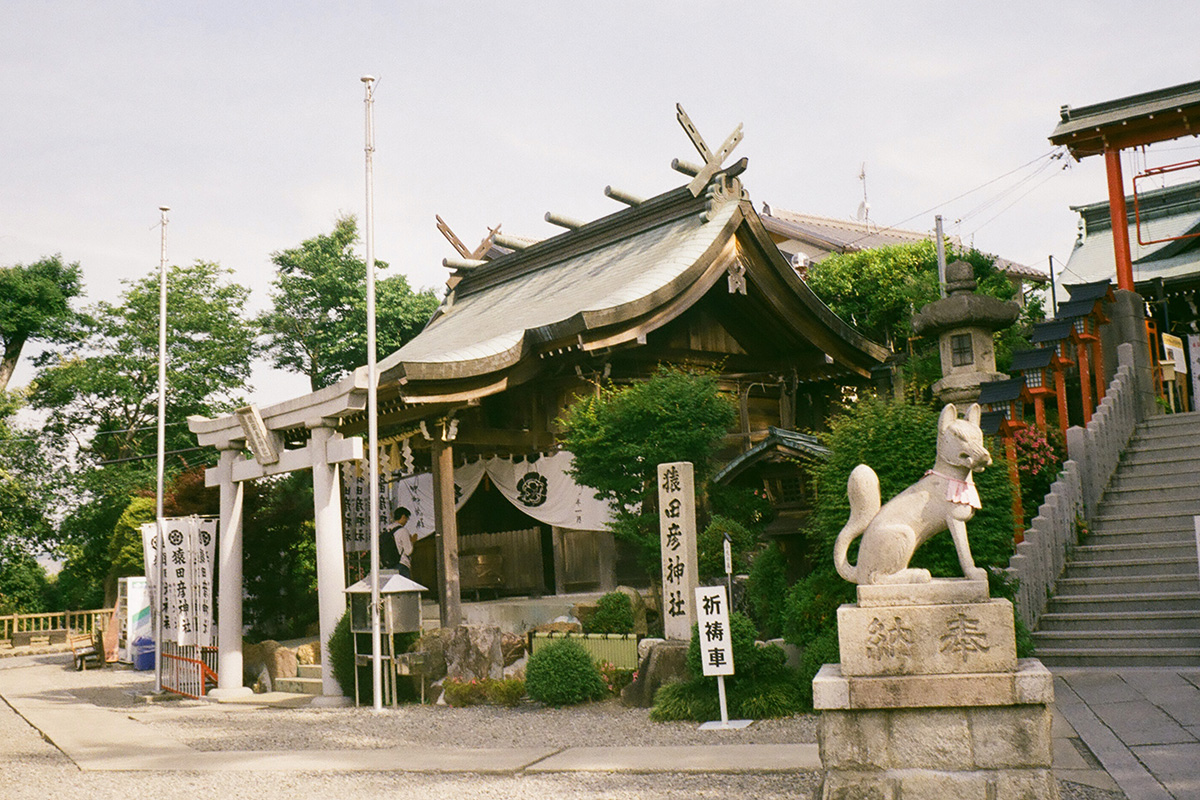 f:id:cosinon:20190605115939j:plain