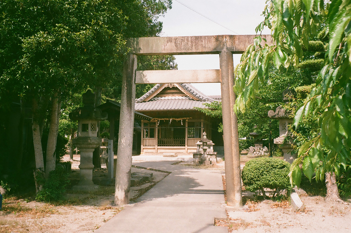 f:id:cosinon:20190605124318j:plain