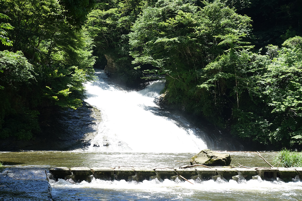 f:id:cosinon:20190617152106j:plain f:id:cosinon:20190617152106j:plain