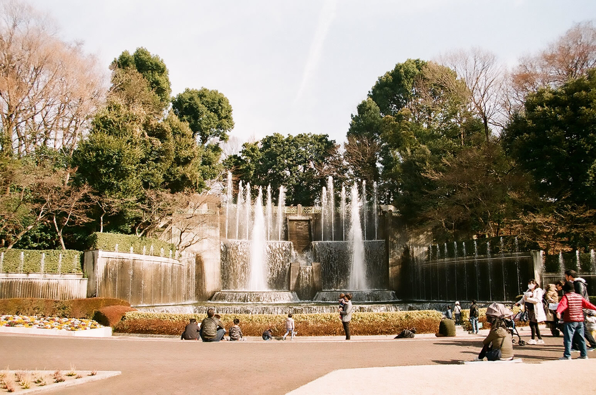 f:id:cosinon:20190624162004j:plain