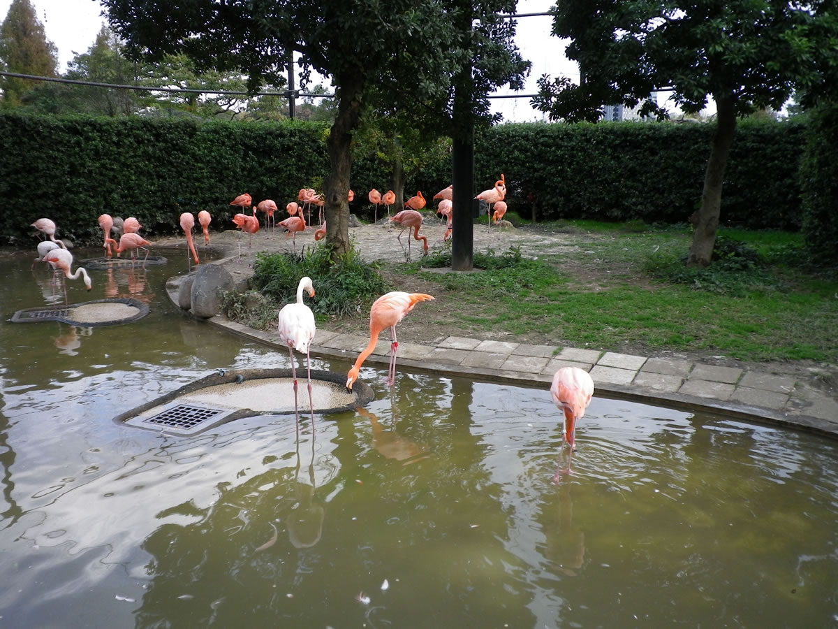 f:id:cosinon:20190625111429j:plain