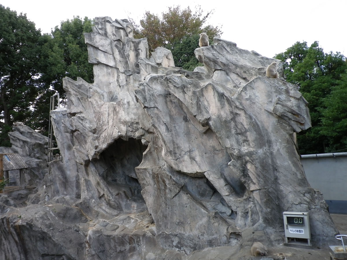 f:id:cosinon:20190625111449j:plain