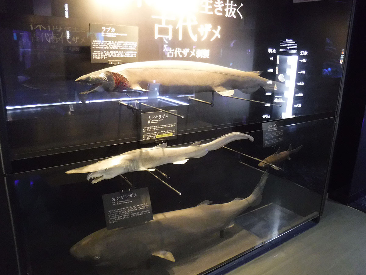 f:id:cosinon:20190626133810j:plain f:id:cosinon:20190626133810j:plain