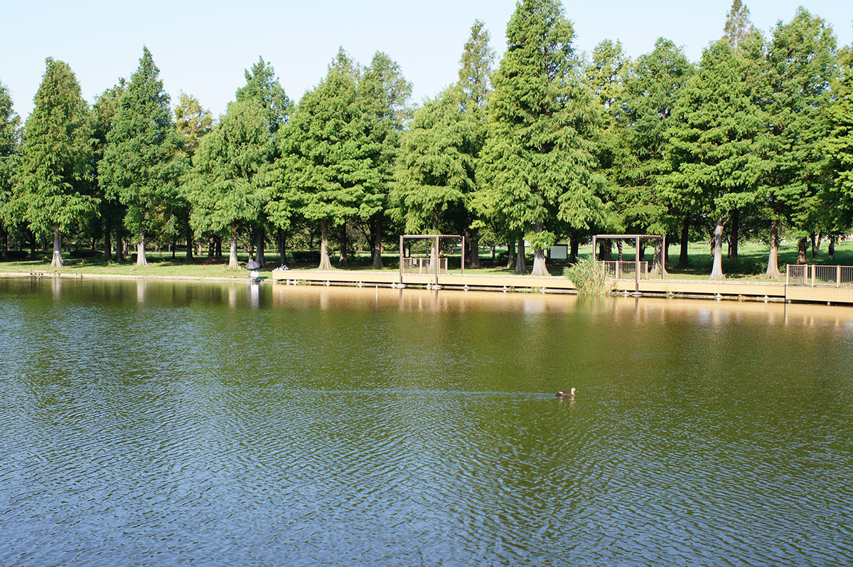 f:id:cosinon:20190910095051j:plain f:id:cosinon:20190910095051j:plain