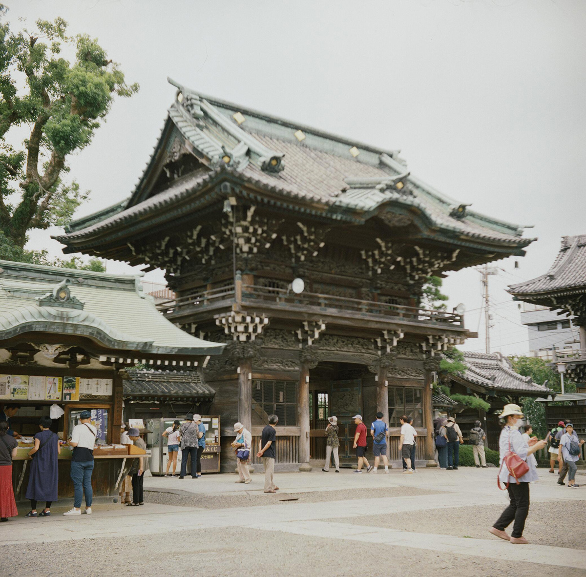 f:id:cosinon:20190912170109j:plain