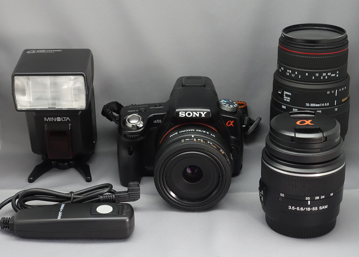 ちょい古デジ一眼』のコスト - フォト・ディレッタント