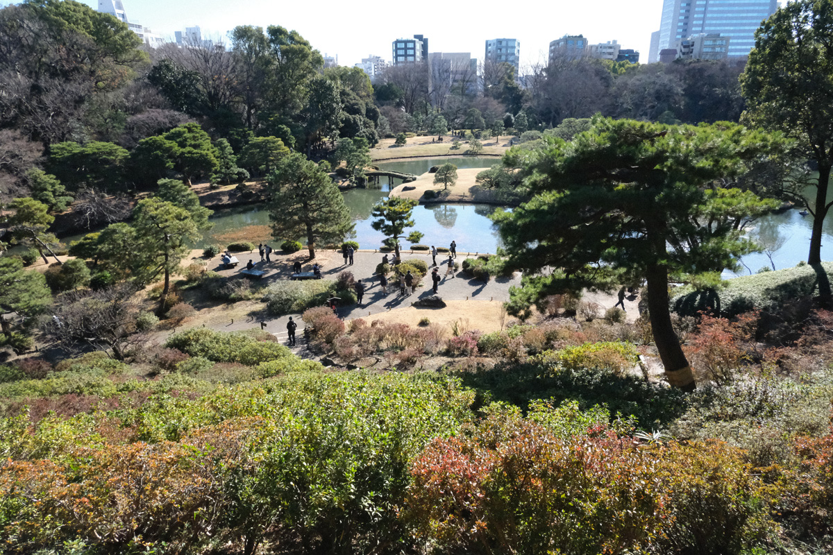 f:id:cosinon:20191229212840j:plain